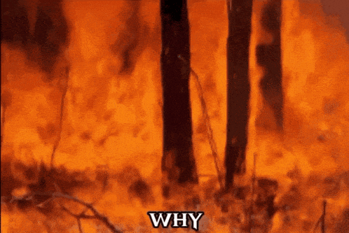 a forest fire with the words " why " written below it