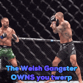 the welsh gangster owns you twerp is written above two men fighting