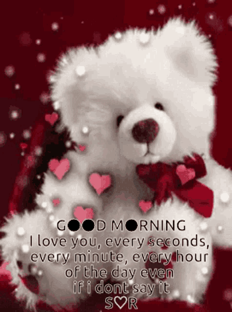 a teddy bear says good morning i love you every second every minute every hour of the day even if i dont say it sr
