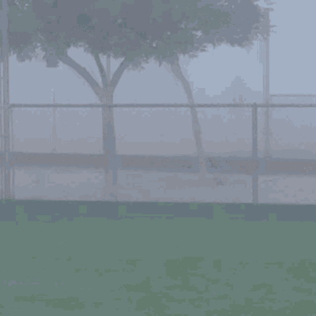 Pitcher Fog GIF - Pitcher Fog Blurry GIFs
