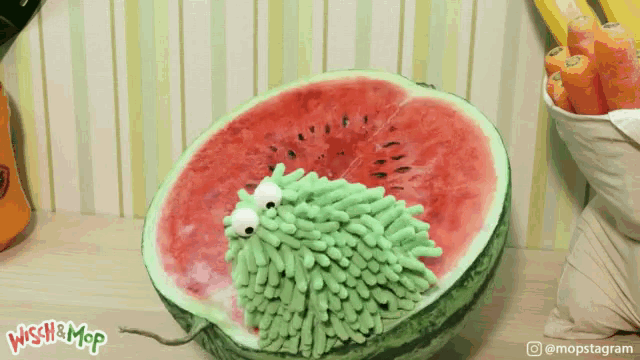 a picture of a watermelon with a green mop on it