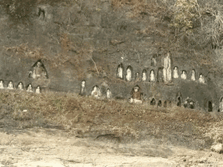 a row of penguins are carved into the side of a hill