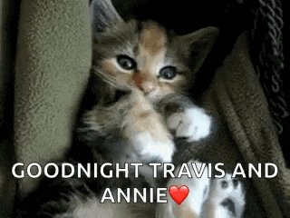 a calico kitten is laying on a couch hugging another kitten and says `` goodnight travis and annie '' .
