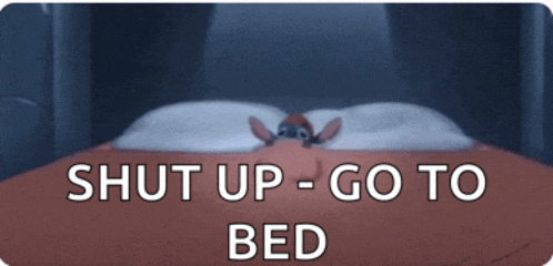 a cartoon character laying on a bed with the words " shut up go to bed " below it