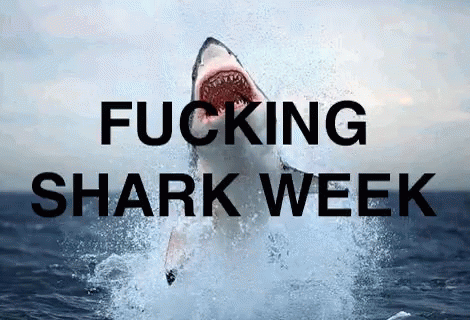 Fucking Sharkweek GIF