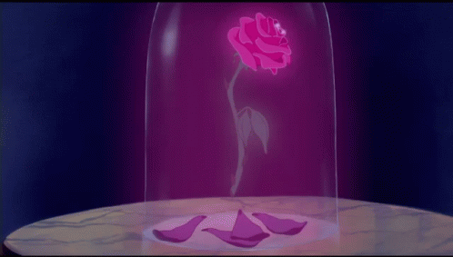 Rose Enchanted Rose GIF - Rose Enchanted Rose Beauty And The Beast GIFs