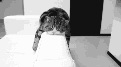 a cat is laying on a white couch with its head on the arm .
