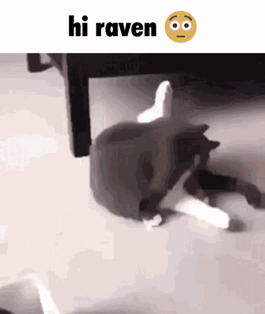 a cat is laying on the floor and says hi raven on the bottom