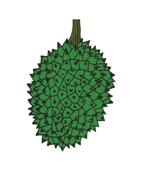 a drawing of a durian with a slice cut out of it