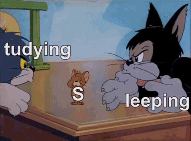 a cartoon of tom and jerry with the words " tudying " and " leeping " on the bottom