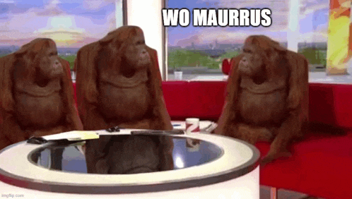 three orangutans are sitting on a red couch in front of a round table .