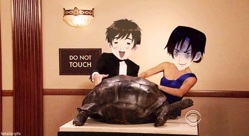 Credit To Hetalia-gifs~ GIF - Do Not Touch Anime Turtle GIFs