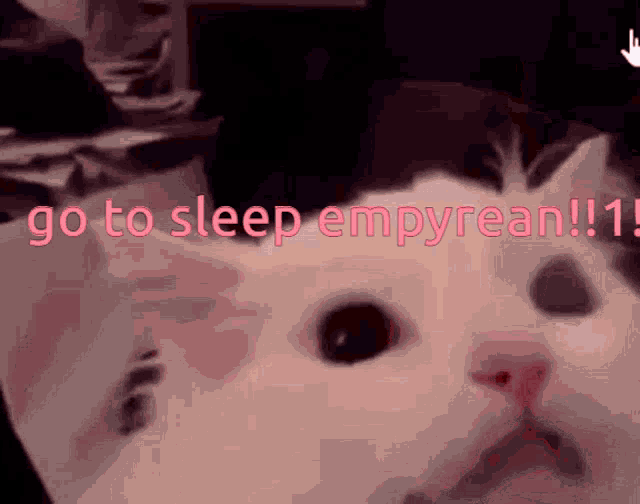 Go To Sleep Empyrean Sleep GIF - Go To Sleep Empyrean Sleep Empyrean GIFs