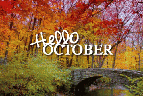 October Hello October GIF - October Hello October Leaves GIFs