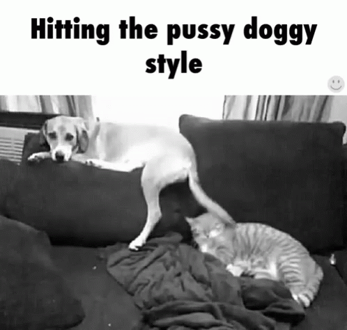 Hitting The Pussy Doggy Style GIF - Hitting The Pussy Doggy Style Dog GIFs