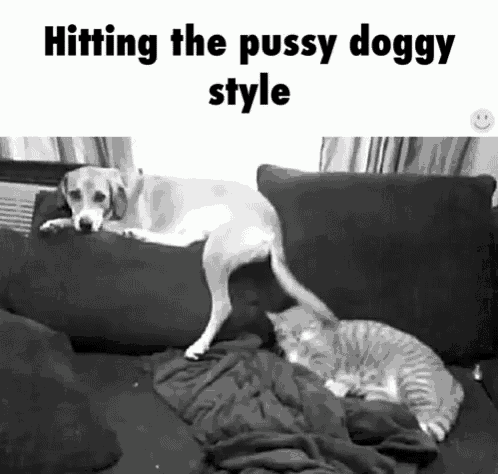 a black and white photo of a dog and a cat on a couch with the caption hitting the pussy doggy style .