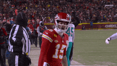 a football player with the number 15 on his jersey stands on the field
