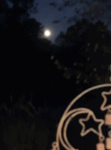 Moon Mooning GIF - Moon Mooning Night GIFs
