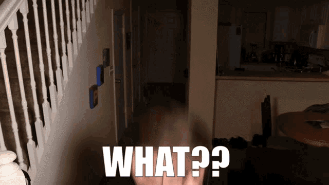 a person standing in a dark hallway with the words what written on it