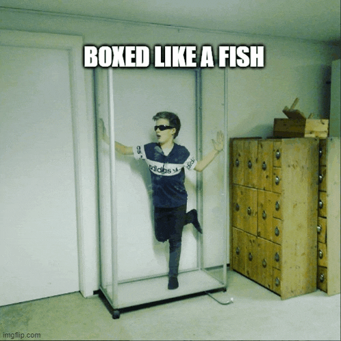 a boy in an adidas shirt is standing in a glass case