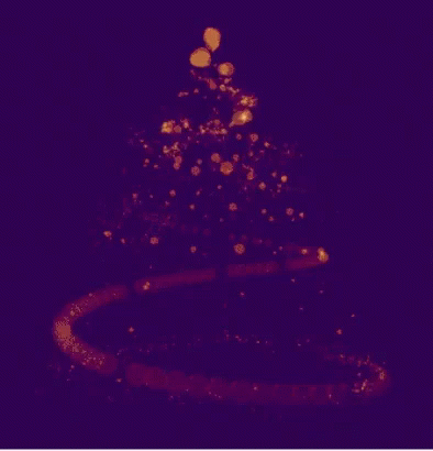 Albero Di Natale Buon Natale 25 Dicembre Buone Feste GIF - Christmas Tree Happychristmas 25december GIFs
