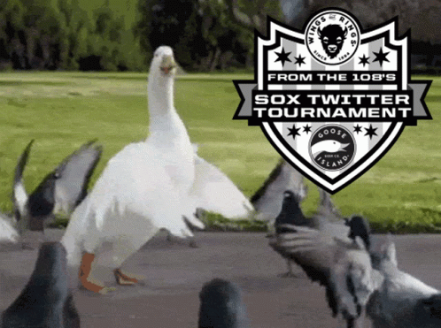 108tourney From The108 GIF - 108tourney From The108 Goose Island GIFs
