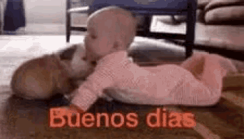 a baby is crawling on the floor next to a dog .
