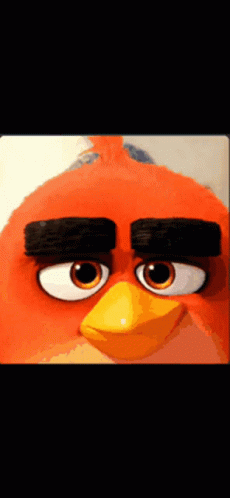 Angry Birds Deniseerdem GIF