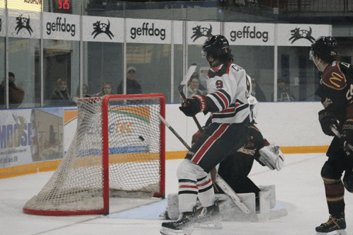a hockey game is being played in front of a sign for geffdog