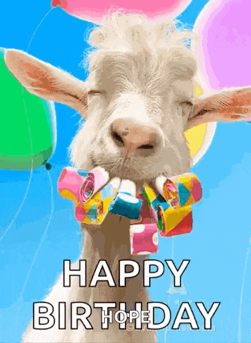 a goat with balloons in its mouth and the words happy birthday on the bottom