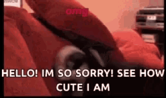 a dog is laying on a couch with the words `` hello ! im so sorry ! see how cute i am ''