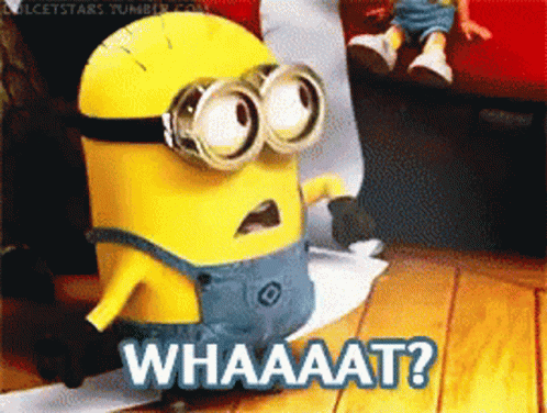 What Minion GIF - What Minion Confused GIFs