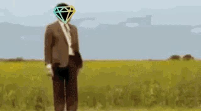 a man in a suit and tie with a diamond on his head is standing in a field .