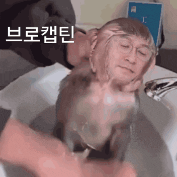 a person is washing a monkey 's head in a sink with chinese writing on it