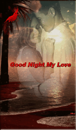a picture of a man and woman hugging with the words " good night my love " on the bottom