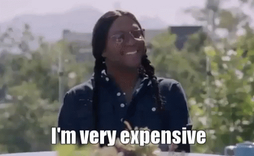 Not Cheap GIF - Im Very Expensive Sassy Expensive GIFs