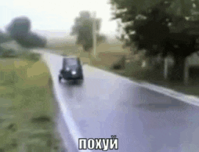 a car is driving down a road next to a field with trees .