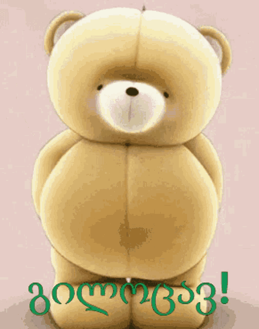 a teddy bear is on a pink background with the word georgia written in green letters