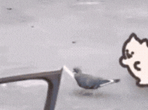 a pigeon is sitting on a railing next to a drawing of a cat