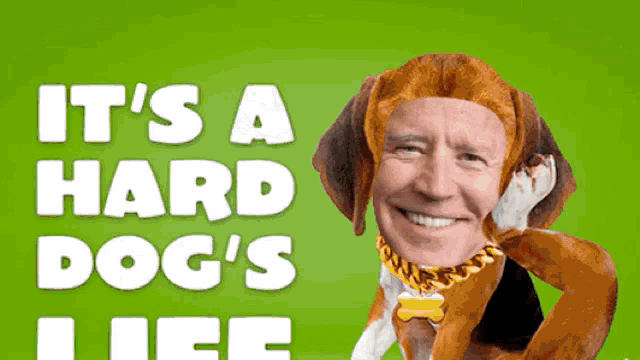 Joe Biden For President GIF - Joe Biden For President Dogs Life GIFs
