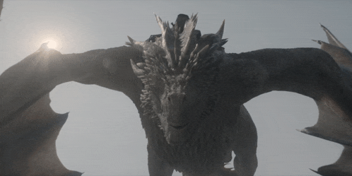 a person riding on the back of a dragon