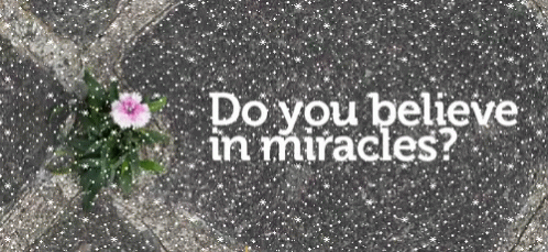Do You Believe In Miracles GIF - Do You Believe In Miracles GIFs