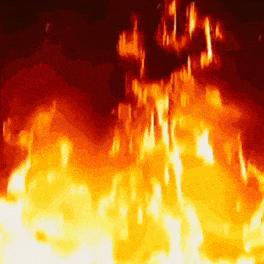 a close up of a fire with a lot of flames coming out of it