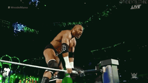 Triple H Wwe GIF - Triple H Wwe Wrestling GIFs