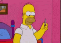 Homer Simpson Blunt GIF - Homer Simpson Blunt GIFs