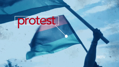Protest Raise Your Flag GIF - Protest Raise Your Flag Support GIFs