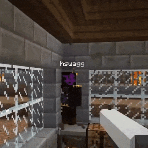 a person in a minecraft video game with the name hswagg on their head