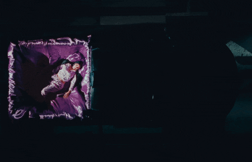 a woman is laying in a purple coffin that says " i love you "