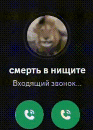 a phone screen with a picture of a rabbit and the words " смерть в ницците "