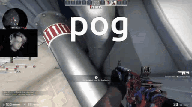 a screenshot of a video game with the word pog on the bottom